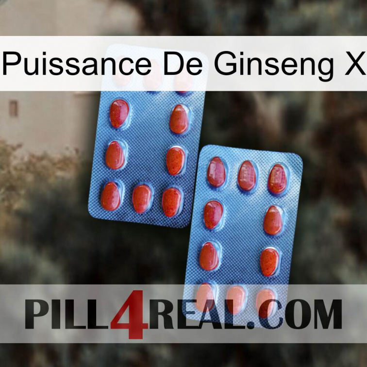 Ginseng Power X 05